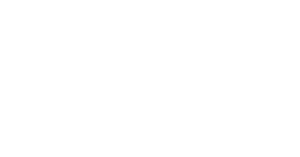 flava Logo